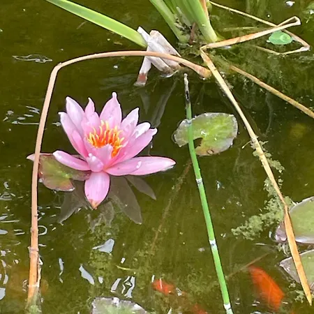 Bed & Breakfast Marais